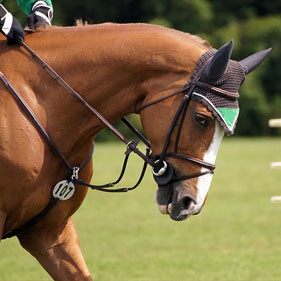 mujer de espaldas con caballo al fondo